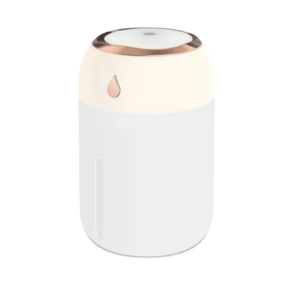 TravelFresh USB Humidifier