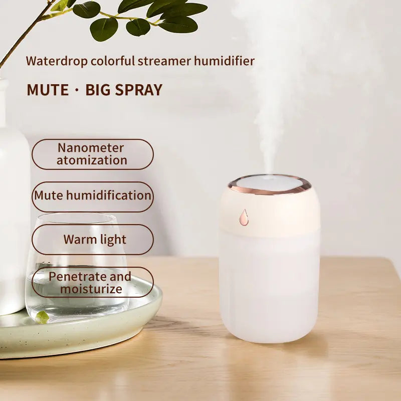 TravelFresh USB Humidifier